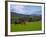 Horses and Sheep in the Barrow Valley, Near St Mullins, County Carlow, Ireland-null-Framed Photographic Print