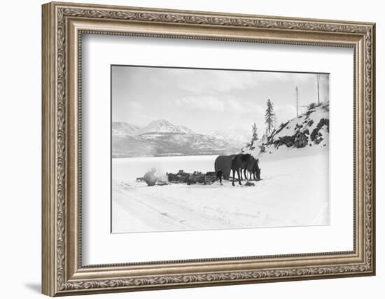 Horses and Sledge in the Klondike-null-Framed Photographic Print