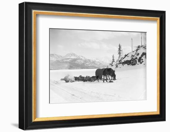 Horses and Sledge in the Klondike-null-Framed Photographic Print