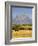 Horses and Teton Mountain Range, Grand Teton National Park, Wyoming, USA-Michele Falzone-Framed Photographic Print