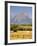 Horses and Teton Mountain Range, Grand Teton National Park, Wyoming, USA-Michele Falzone-Framed Photographic Print