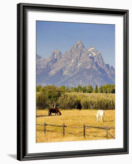 Horses and Teton Mountain Range, Grand Teton National Park, Wyoming, USA-Michele Falzone-Framed Photographic Print