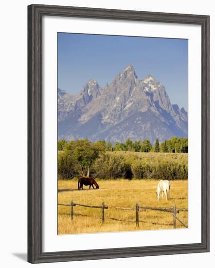 Horses and Teton Mountain Range, Grand Teton National Park, Wyoming, USA-Michele Falzone-Framed Photographic Print