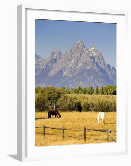 Horses and Teton Mountain Range, Grand Teton National Park, Wyoming, USA-Michele Falzone-Framed Photographic Print