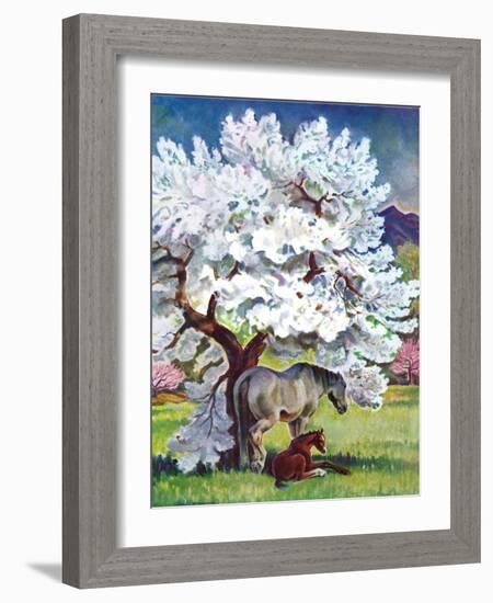 "Horses and Tree Blossoms,"May 1, 1940-Paul Bransom-Framed Giclee Print