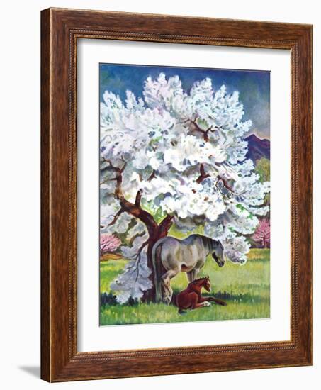 "Horses and Tree Blossoms,"May 1, 1940-Paul Bransom-Framed Giclee Print