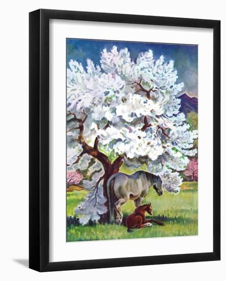 "Horses and Tree Blossoms,"May 1, 1940-Paul Bransom-Framed Giclee Print