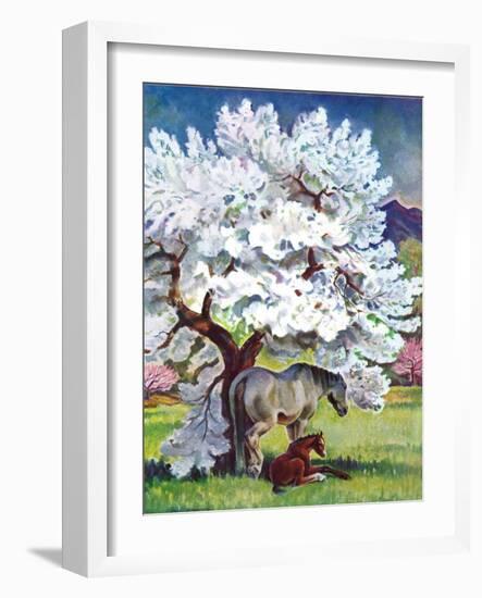 "Horses and Tree Blossoms,"May 1, 1940-Paul Bransom-Framed Giclee Print