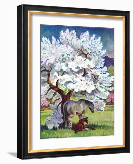 "Horses and Tree Blossoms,"May 1, 1940-Paul Bransom-Framed Giclee Print