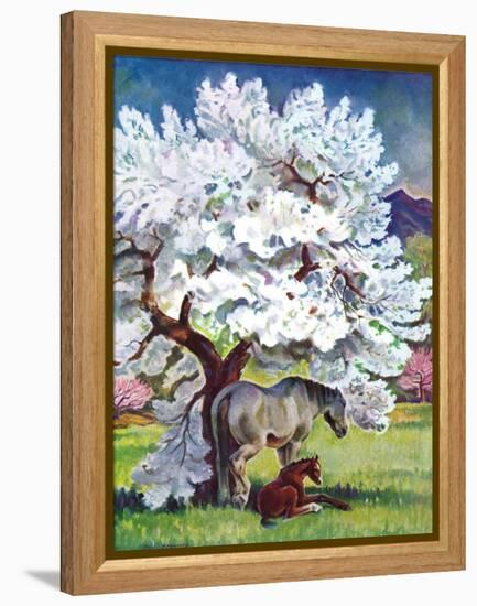 "Horses and Tree Blossoms,"May 1, 1940-Paul Bransom-Framed Premier Image Canvas