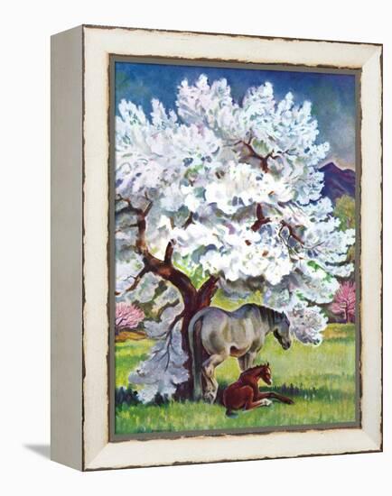 "Horses and Tree Blossoms,"May 1, 1940-Paul Bransom-Framed Premier Image Canvas