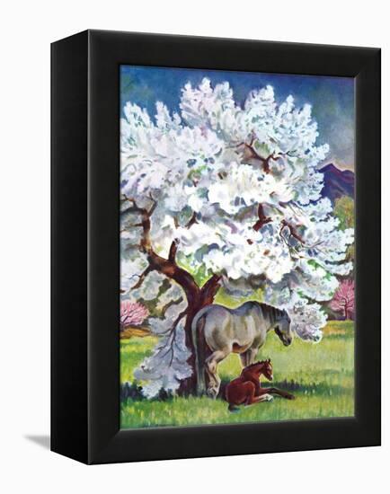 "Horses and Tree Blossoms,"May 1, 1940-Paul Bransom-Framed Premier Image Canvas