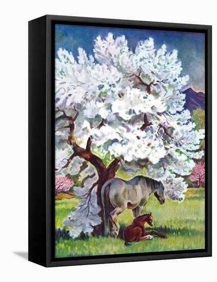 "Horses and Tree Blossoms,"May 1, 1940-Paul Bransom-Framed Premier Image Canvas