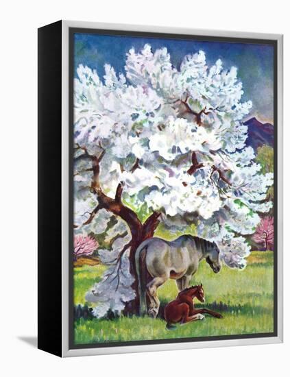 "Horses and Tree Blossoms,"May 1, 1940-Paul Bransom-Framed Premier Image Canvas