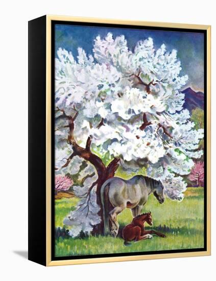 "Horses and Tree Blossoms,"May 1, 1940-Paul Bransom-Framed Premier Image Canvas