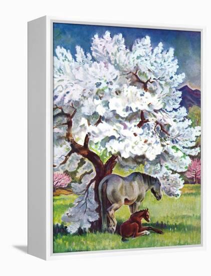 "Horses and Tree Blossoms,"May 1, 1940-Paul Bransom-Framed Premier Image Canvas