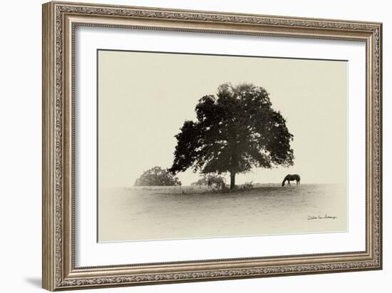 Horses and Trees I-Debra Van Swearingen-Framed Photographic Print