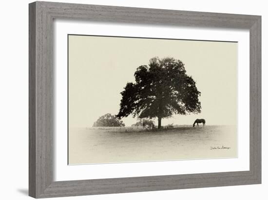 Horses and Trees I-Debra Van Swearingen-Framed Photographic Print