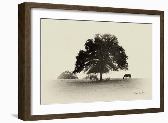 Horses and Trees I-Debra Van Swearingen-Framed Photographic Print