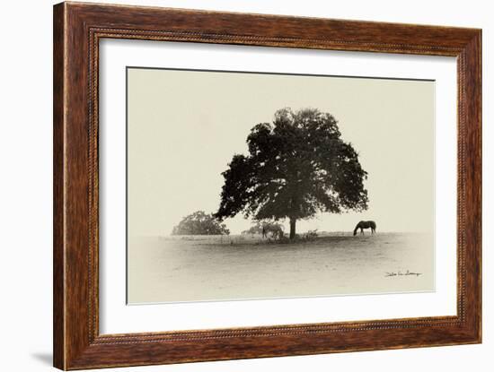 Horses and Trees I-Debra Van Swearingen-Framed Photographic Print