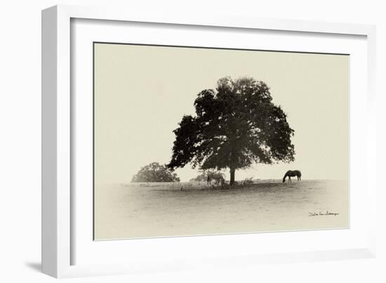 Horses and Trees I-Debra Van Swearingen-Framed Photographic Print