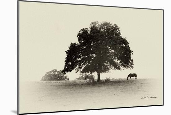 Horses and Trees I-Debra Van Swearingen-Mounted Photographic Print