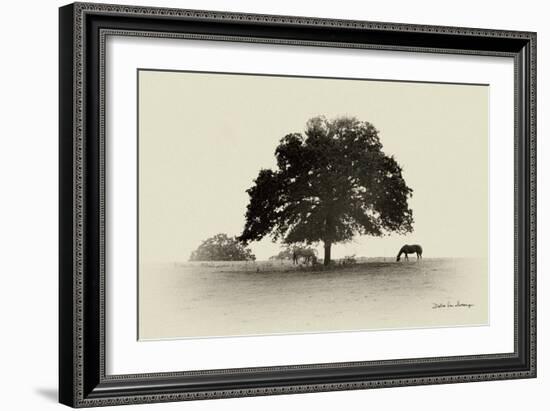 Horses and Trees I-Debra Van Swearingen-Framed Photographic Print