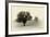 Horses and Tress II-Debra Van Swearingen-Framed Photographic Print