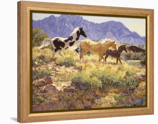 Horses at Big Wash-Claire Goldrick-Framed Stretched Canvas