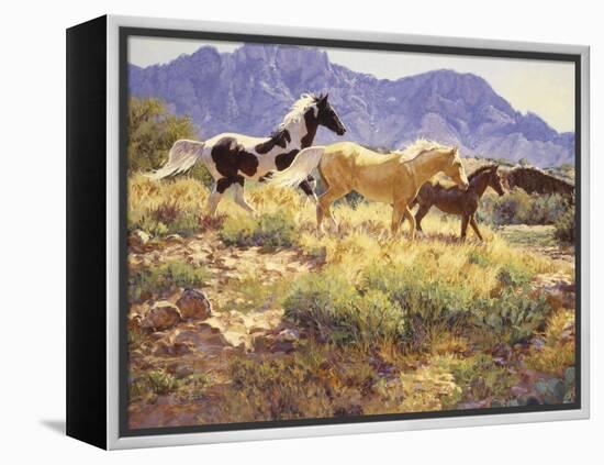 Horses at Big Wash-Claire Goldrick-Framed Stretched Canvas