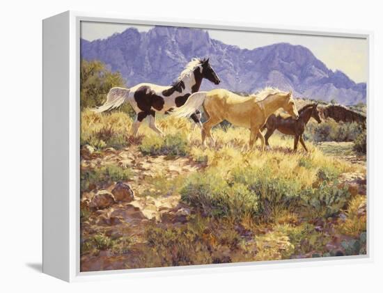 Horses at Big Wash-Claire Goldrick-Framed Stretched Canvas