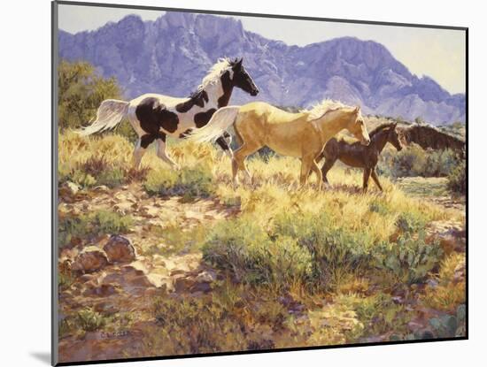 Horses at Big Wash-Claire Goldrick-Mounted Art Print