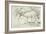 Horses at Coolmore, 1990-Antonio Ciccone-Framed Giclee Print