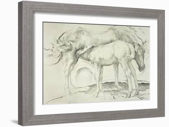 Horses at Coolmore, 1990-Antonio Ciccone-Framed Giclee Print