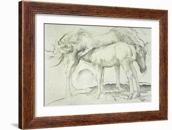 Horses at Coolmore, 1990-Antonio Ciccone-Framed Giclee Print