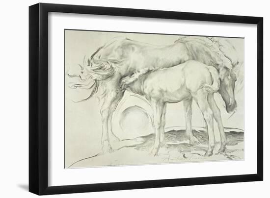 Horses at Coolmore, 1990-Antonio Ciccone-Framed Giclee Print