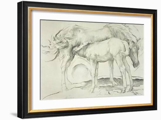 Horses at Coolmore, 1990-Antonio Ciccone-Framed Giclee Print