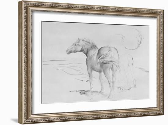 Horses at Coolmore, 1990-Antonio Ciccone-Framed Giclee Print