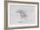 Horses at Coolmore, 1990-Antonio Ciccone-Framed Giclee Print