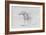 Horses at Coolmore, 1990-Antonio Ciccone-Framed Giclee Print