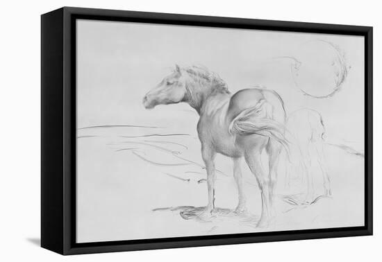 Horses at Coolmore, 1990-Antonio Ciccone-Framed Premier Image Canvas