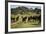 Horses at Estancia Los Potreros, Cordoba Province, Argentina, South America-Yadid Levy-Framed Photographic Print