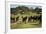 Horses at Estancia Los Potreros, Cordoba Province, Argentina, South America-Yadid Levy-Framed Photographic Print