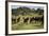 Horses at Estancia Los Potreros, Cordoba Province, Argentina, South America-Yadid Levy-Framed Photographic Print