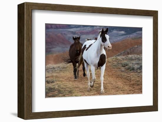 Horses at Full Gallop-Terry Eggers-Framed Photographic Print