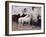 Horses at Palma, Majorca, Spain, 1908 (Oil on Canvas)-John Singer Sargent-Framed Giclee Print