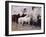 Horses at Palma, Majorca, Spain, 1908 (Oil on Canvas)-John Singer Sargent-Framed Giclee Print