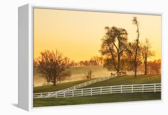 Horses at sunrise, Shaker Village of Pleasant Hill, Harrodsburg, Kentucky-Adam Jones-Framed Premier Image Canvas