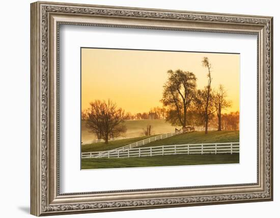 Horses at sunrise, Shaker Village of Pleasant Hill, Harrodsburg, Kentucky-Adam Jones-Framed Photographic Print