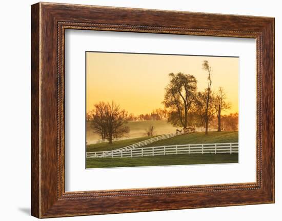 Horses at sunrise, Shaker Village of Pleasant Hill, Harrodsburg, Kentucky-Adam Jones-Framed Photographic Print